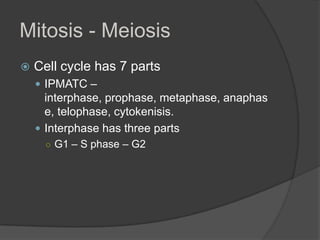 Mitosis - MeiosisCell cycle has 7 parts IPMATC – interphase, prophase, metaphase, anaphase, telophase, cytokenisis. Interphase has three partsG1 – S phase – G2