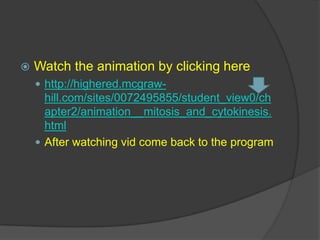 MitosisS-phase means “synthesis” phasehttp://www.glogster.com/media/1/3/99/27/3992794.jpg