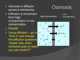 PAUSE – answer the following questions on the form.What happens during interphase?Label and write what happens during the three parts of interphase.