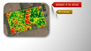 AGRONOMY BY THE AVERAGE
160 bu Average
 
