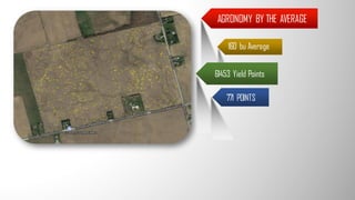AGRONOMY BY THE AVERAGE
160 bu Average
771 POINTS
61453 Yield Points
 