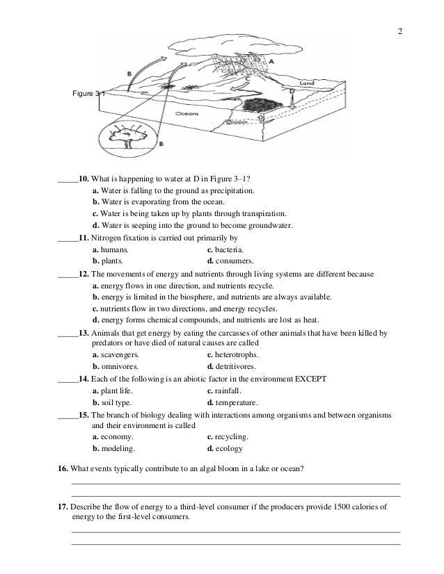 Eoc ecology sample questions