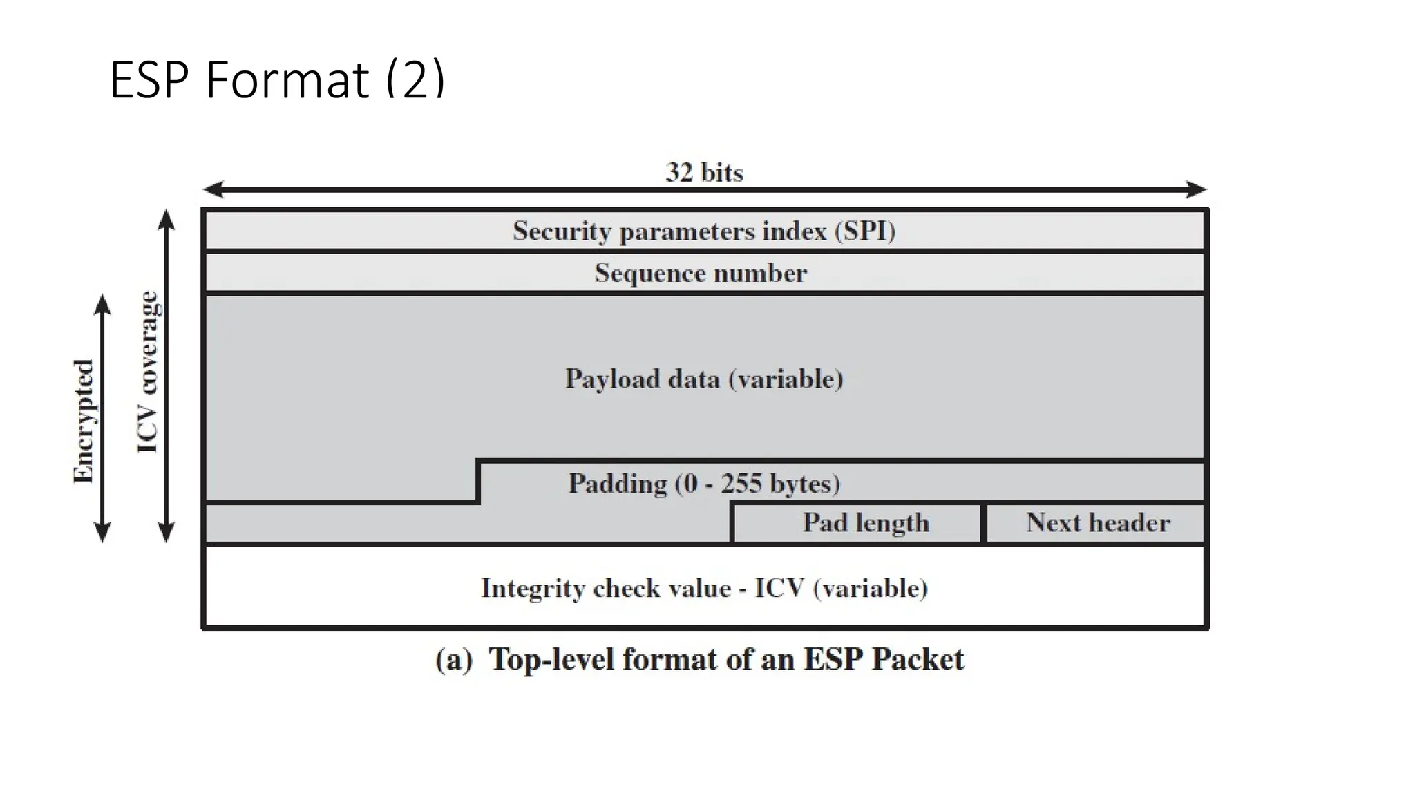 ESP Format (2)
 