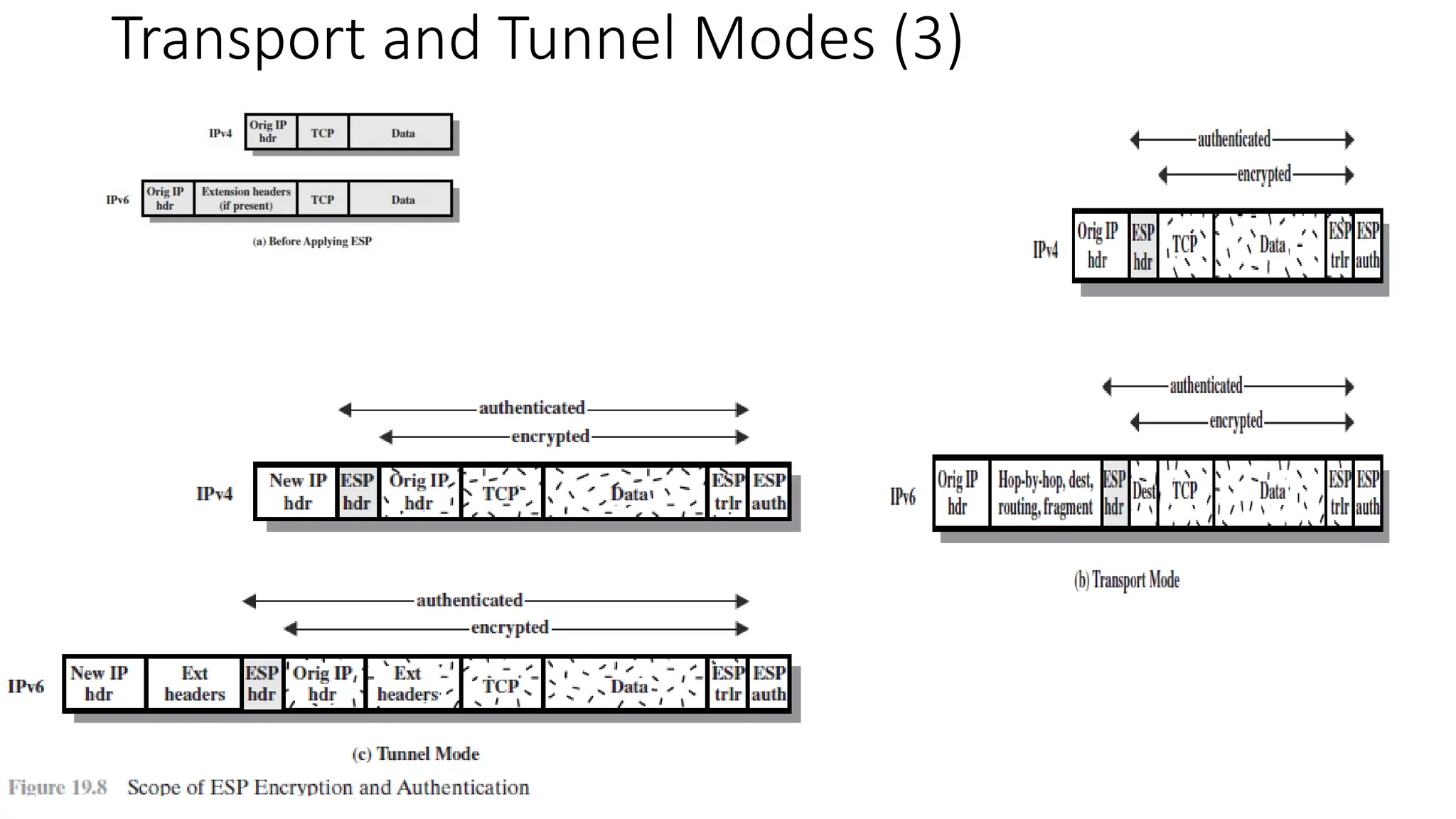 Transport and Tunnel Modes (3)
 