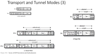 Transport and Tunnel Modes (3)
 