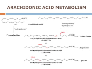 ARACHIDONIC ACID METABOLISM
 
