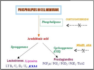 /Lipoxins
/LXA4
 