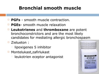 Bronchial smooth muscle
 PGFs - smooth muscle contraction.
 PGEs- smooth muscle relaxation
 Leukotrienes and thromboxane are potent
bronchoconstrictors and are the most likely
candidates for mediating allergic bronchospasm
 Zielueton :
 lipoxigenes 5 inhibitor
 Montelukast,zafirlukast
 leukotrien eceptor antagonist
 