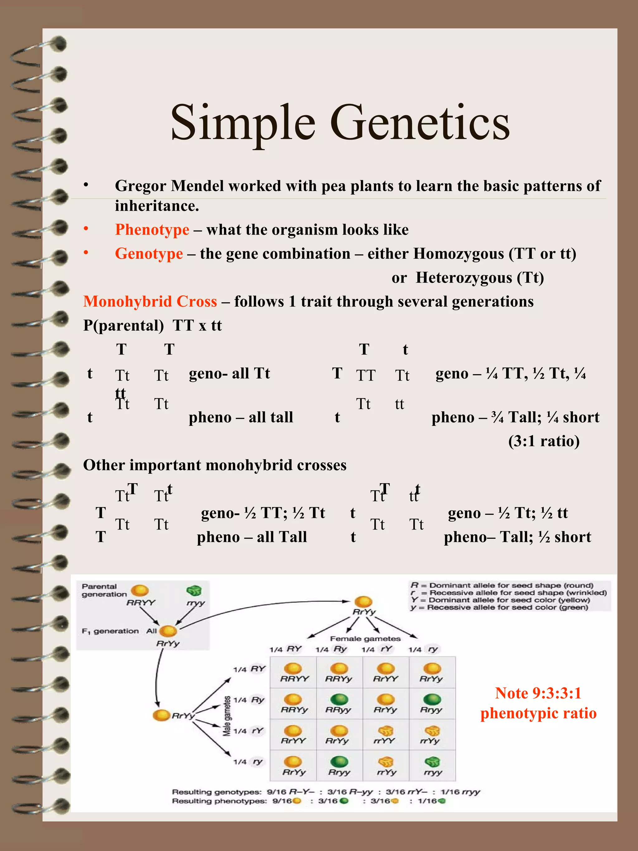 Simple Genetics
• Gregor Mendel worked with pea plants to learn the basic patterns of
inheritance.
• Phenotype – what the organism looks like
• Genotype – the gene combination – either Homozygous (TT or tt)
or Heterozygous (Tt)
Monohybrid Cross – follows 1 trait through several generations
P(parental) TT x tt
T T T t
t geno- all Tt T geno – ¼ TT, ½ Tt, ¼
tt
t pheno – all tall t pheno – ¾ Tall; ¼ short
(3:1 ratio)
Other important monohybrid crosses
T t T t
T geno- ½ TT; ½ Tt t geno – ½ Tt; ½ tt
T pheno – all Tall t pheno– Tall; ½ short
• Dihybrid cross – follows two traits
Tt Tt
Tt Tt
TT Tt
Tt tt
Tt Tt
Tt Tt
Tt tt
Tt Tt
Note 9:3:3:1
phenotypic ratio
 