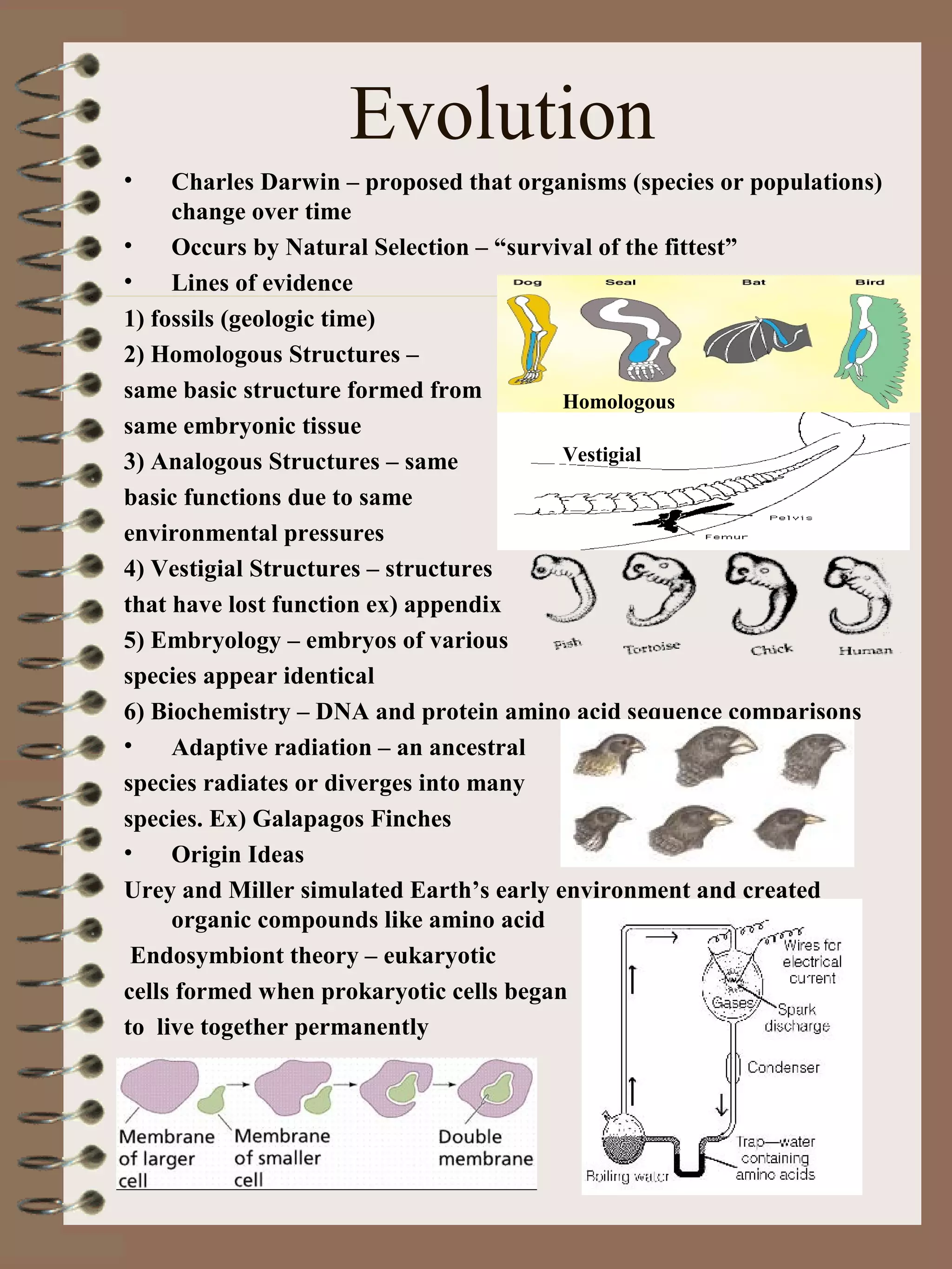 Evolution
• Charles Darwin – proposed that organisms (species or populations)
change over time
• Occurs by Natural Selection – “survival of the fittest”
• Lines of evidence
1) fossils (geologic time)
2) Homologous Structures –
same basic structure formed from
same embryonic tissue
3) Analogous Structures – same
basic functions due to same
environmental pressures
4) Vestigial Structures – structures
that have lost function ex) appendix
5) Embryology – embryos of various
species appear identical
6) Biochemistry – DNA and protein amino acid sequence comparisons
• Adaptive radiation – an ancestral
species radiates or diverges into many
species. Ex) Galapagos Finches
• Origin Ideas
Urey and Miller simulated Earth’s early environment and created
organic compounds like amino acid
Endosymbiont theory – eukaryotic
cells formed when prokaryotic cells began
to live together permanently
Homologous
Vestigial
 