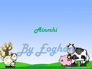 Ainmhí
By Eoghan
 