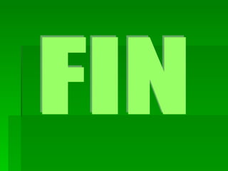 Eoi. flor ceci-maca-geri-meli