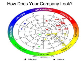 How Does Your Company Look? 