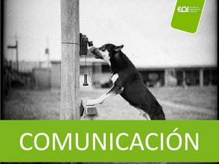 COMUNICACIÓN
 