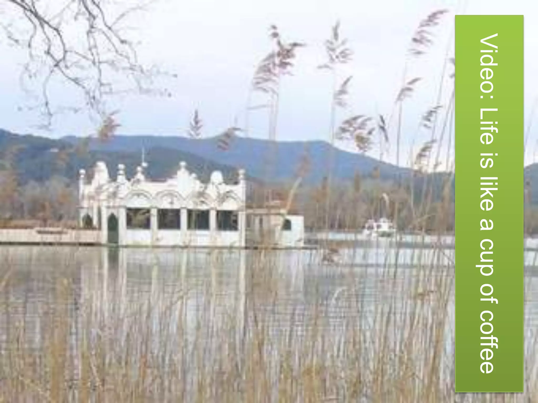 Video: Life is like a cup of coffee