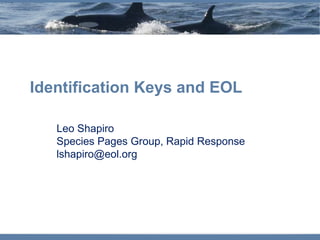 Identification Keys and EOL

   Leo Shapiro
   Species Pages Group, Rapid Response
   lshapiro@eol.org
 
