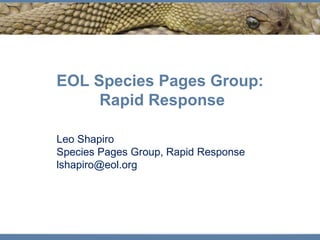 EOL Species Pages Group:
     Rapid Response

Leo Shapiro
Species Pages Group, Rapid Response
lshapiro@eol.org
 