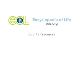 BioBlitz Resources
 