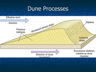 Dune Processes 