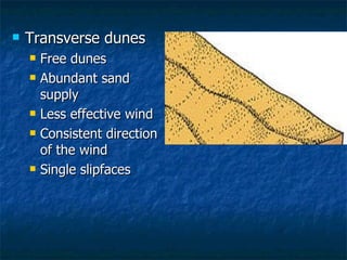 Transverse dunes Free dunes Abundant sand supply Less effective wind Consistent direction of the wind Single slipfaces 