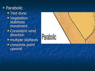 Parabolic Tied dune Vegetation stabilizes movement Consistent wind direction multiple slipfaces crescents point upwind 