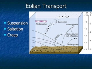Eolian Transport Suspension Saltation Creep 