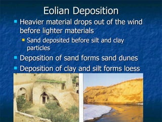 Eolian Deposition Heavier material drops out of the wind before lighter materials Sand deposited before silt and clay particles Deposition of sand forms sand dunes Deposition of clay and silt forms loess 
