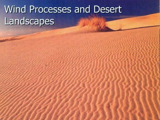 Wind Processes and Desert Landscapes 