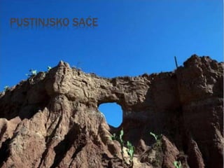 PUSTINJSKO SAĆE
 