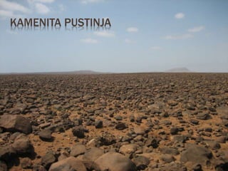 KAMENITA PUSTINJA
 