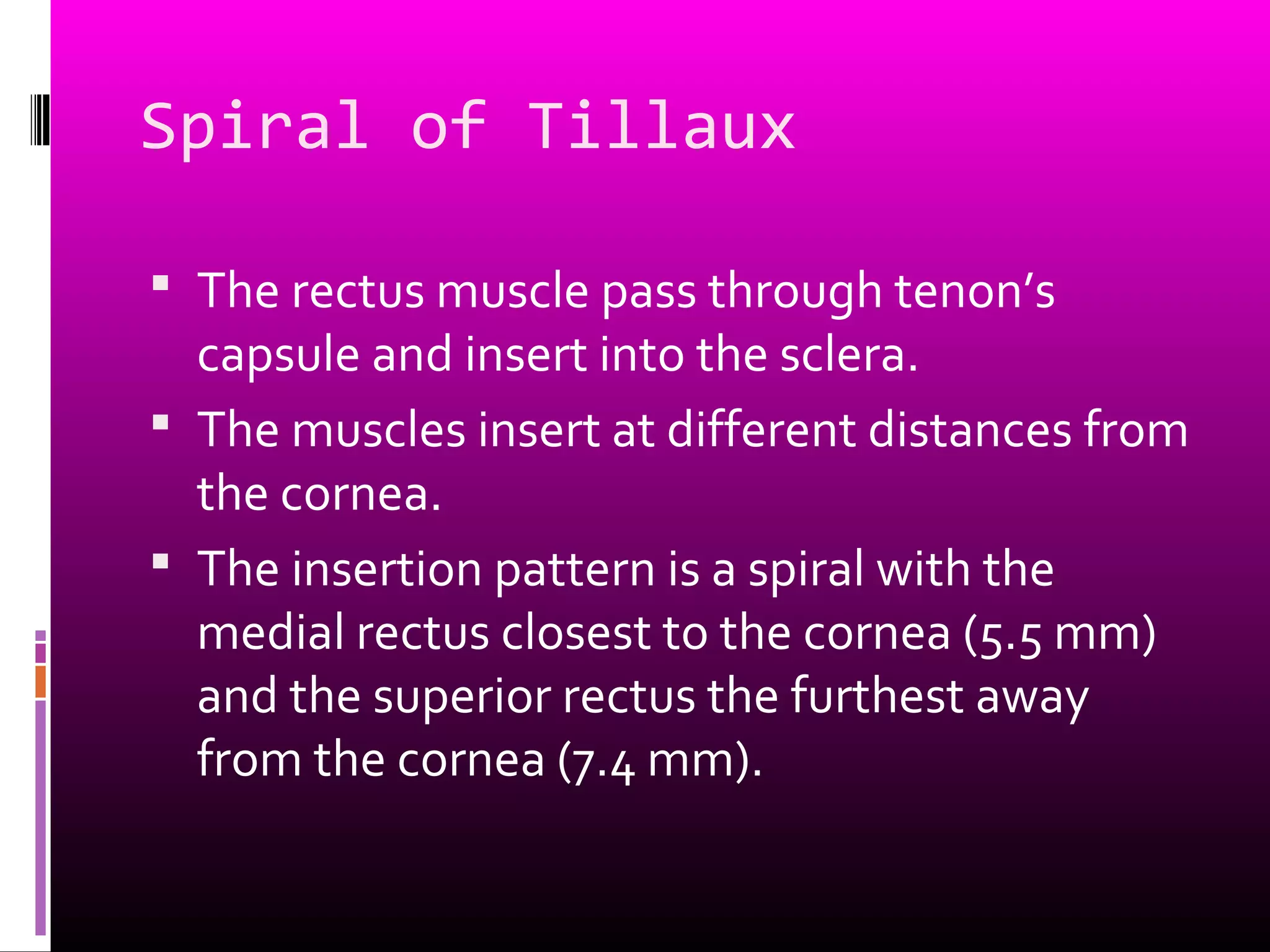 Spiral of Tillaux
 The rectus muscle pass through tenon’s
capsule and insert into the sclera.
 The muscles insert at different distances from
the cornea.
 The insertion pattern is a spiral with the
medial rectus closest to the cornea (5.5 mm)
and the superior rectus the furthest away
from the cornea (7.4 mm).
 