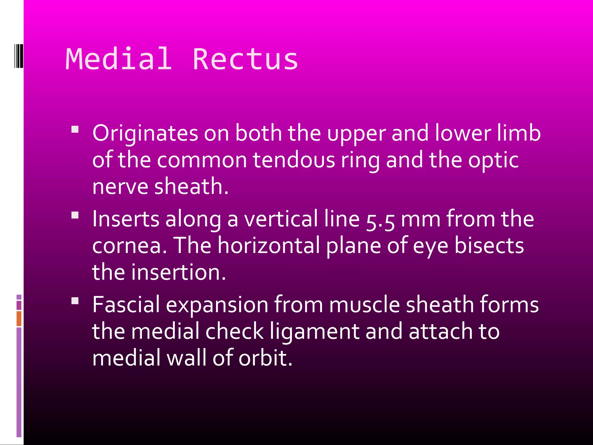 Medial Rectus
 Originates on both the upper and lower limb
of the common tendous ring and the optic
nerve sheath.
 Inserts along a vertical line 5.5 mm from the
cornea. The horizontal plane of eye bisects
the insertion.
 Fascial expansion from muscle sheath forms
the medial check ligament and attach to
medial wall of orbit.
 