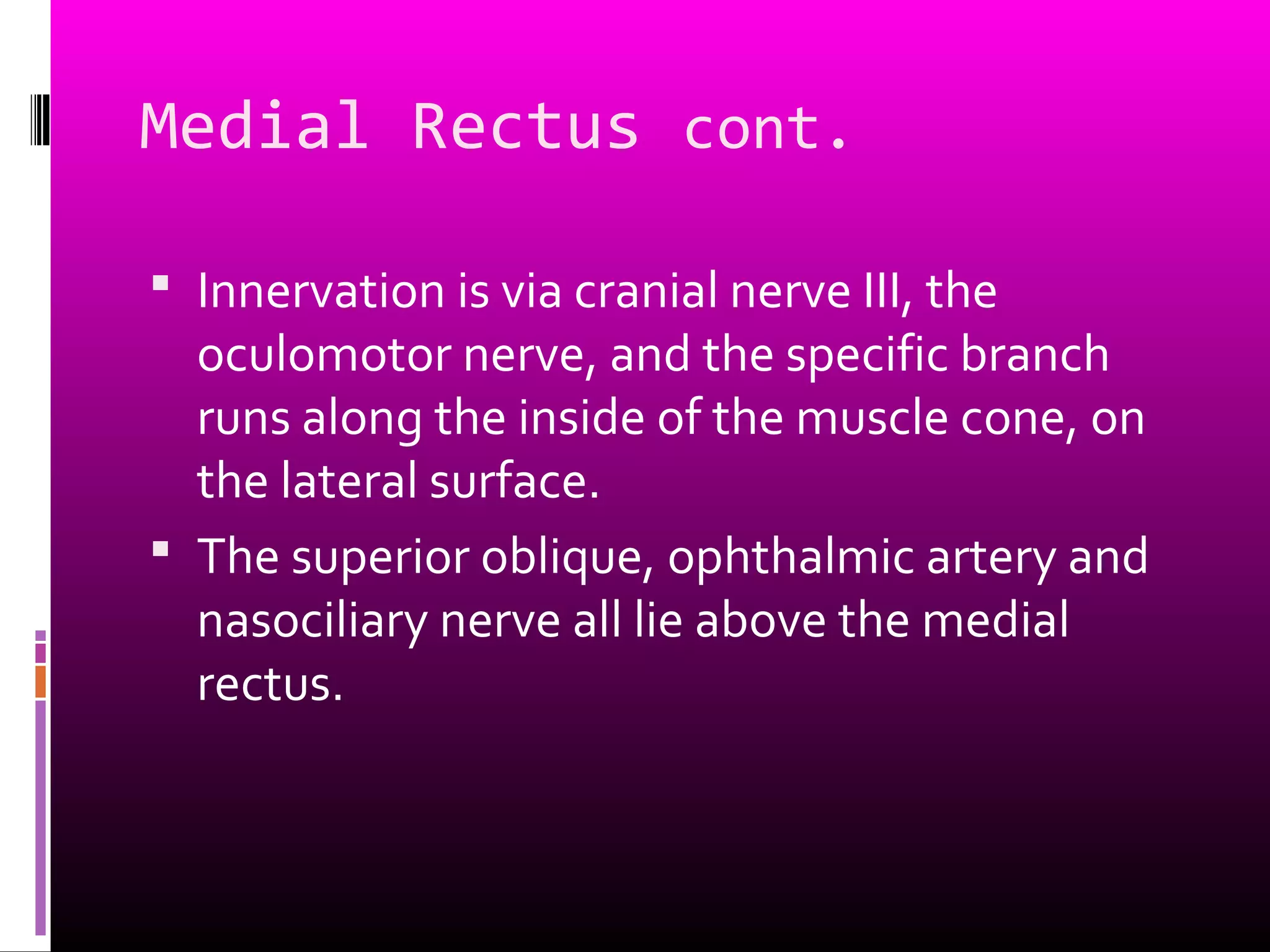 Medial Rectus cont.
 Innervation is via cranial nerve III, the
oculomotor nerve, and the specific branch
runs along the inside of the muscle cone, on
the lateral surface.
 The superior oblique, ophthalmic artery and
nasociliary nerve all lie above the medial
rectus.
 