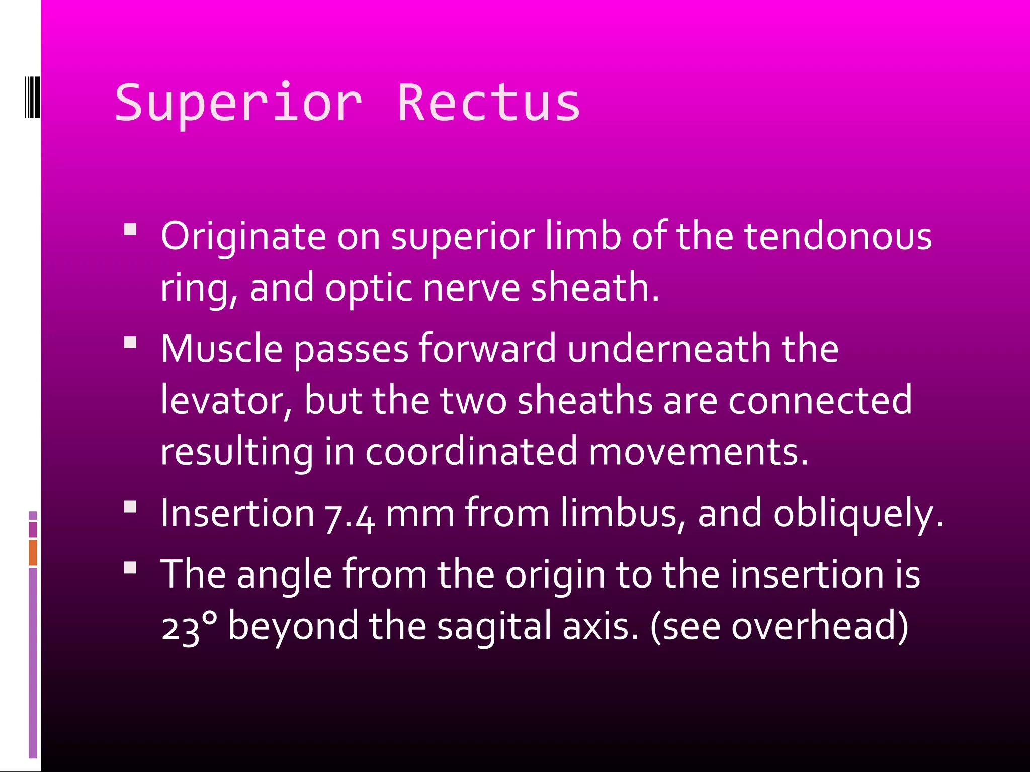 Superior Rectus
 Originate on superior limb of the tendonous
ring, and optic nerve sheath.
 Muscle passes forward underneath the
levator, but the two sheaths are connected
resulting in coordinated movements.
 Insertion 7.4 mm from limbus, and obliquely.
 The angle from the origin to the insertion is
23° beyond the sagital axis. (see overhead)
 