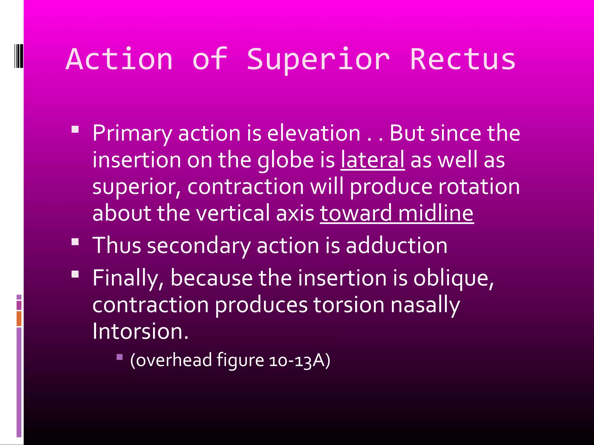 Action of Superior Rectus
 Primary action is elevation . . But since the
insertion on the globe is lateral as well as
superior, contraction will produce rotation
about the vertical axis toward midline
 Thus secondary action is adduction
 Finally, because the insertion is oblique,
contraction produces torsion nasally
Intorsion.
 (overhead figure 10-13A)
 