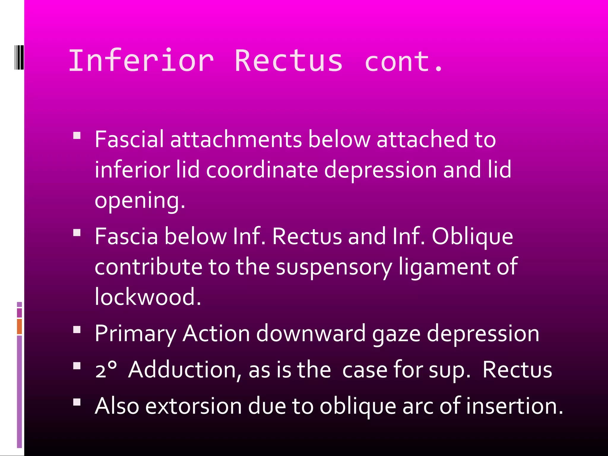 Inferior Rectus cont.
 Fascial attachments below attached to
inferior lid coordinate depression and lid
opening.
 Fascia below Inf. Rectus and Inf. Oblique
contribute to the suspensory ligament of
lockwood.
 Primary Action downward gaze depression
 2° Adduction, as is the case for sup. Rectus
 Also extorsion due to oblique arc of insertion.
 