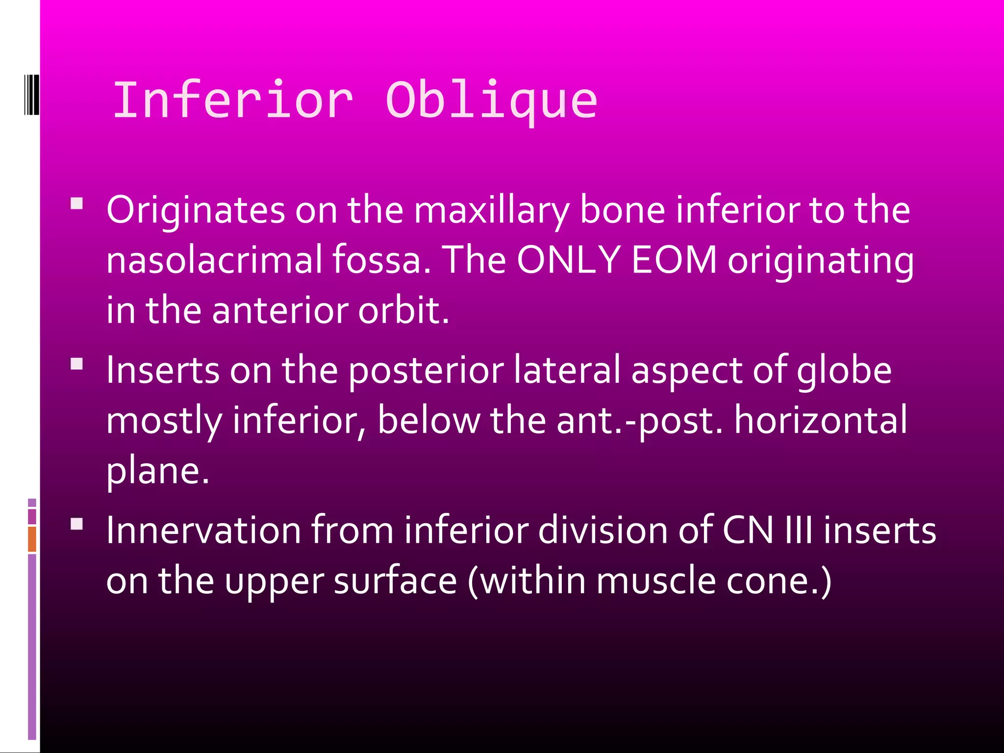 Inferior Oblique
 Originates on the maxillary bone inferior to the
nasolacrimal fossa. The ONLY EOM originating
in the anterior orbit.
 Inserts on the posterior lateral aspect of globe
mostly inferior, below the ant.-post. horizontal
plane.
 Innervation from inferior division of CN III inserts
on the upper surface (within muscle cone.)
 