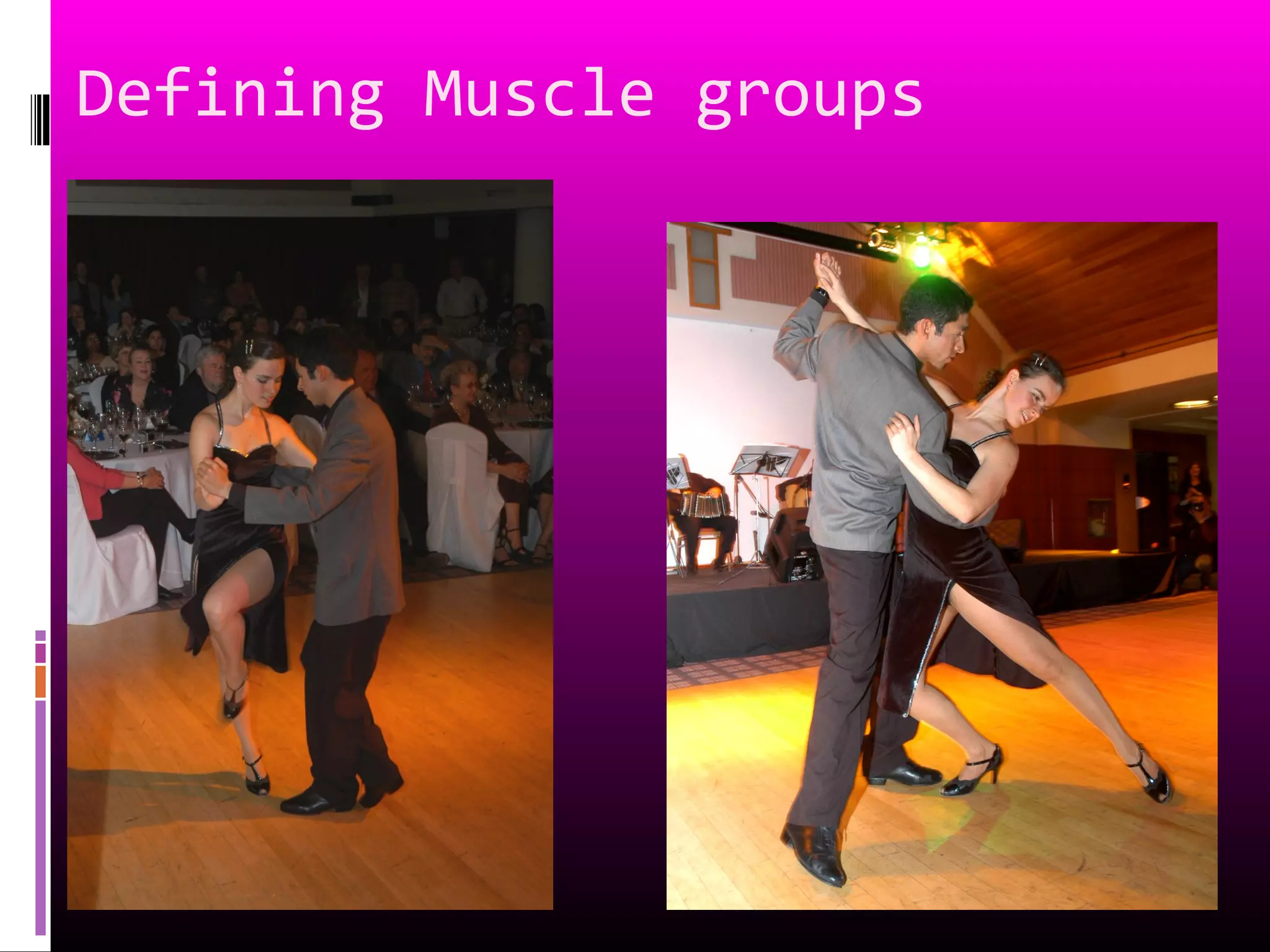 Defining Muscle groups
 