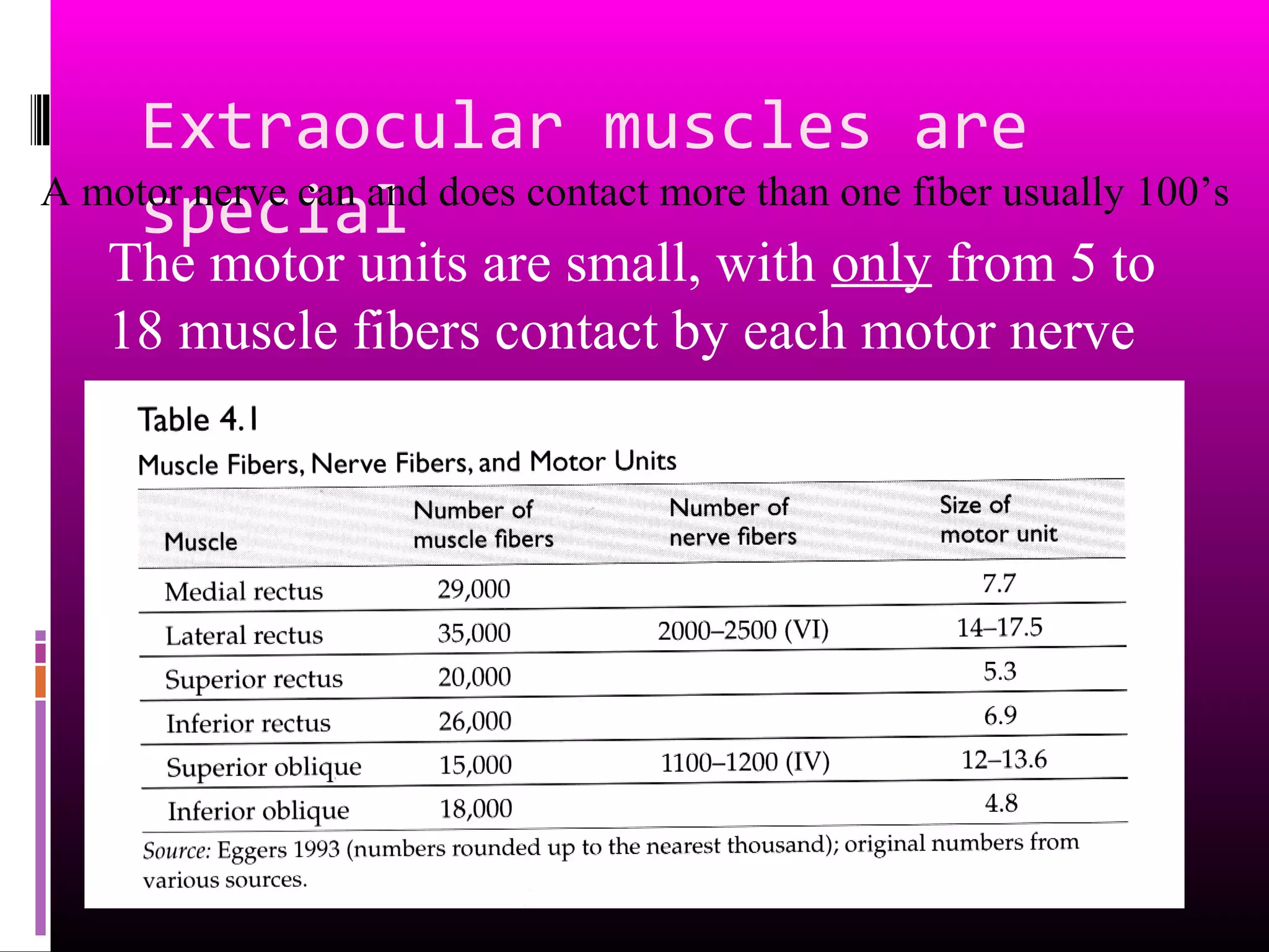 Extraocular muscles are
special
The motor units are small, with only from 5 to
18 muscle fibers contact by each motor nerve
A motor nerve can and does contact more than one fiber usually 100’s
 