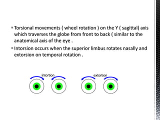 Extra Ocular Muscle | PPTX