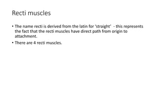 ExtraOcularMuscles | PPTX