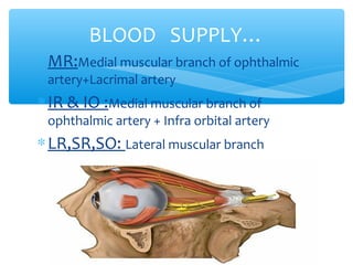 ∗MR:Medial muscular branch of ophthalmic
artery+Lacrimal artery
∗IR & IO :Medial muscular branch of
ophthalmic artery + Infra orbital artery
∗LR,SR,SO: Lateral muscular branch
BLOOD SUPPLY…
 