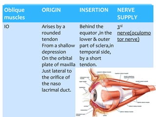 Oblique
muscles
ORIGIN INSERTION NERVE
SUPPLY
IO Arises by a
rounded
tendon
From a shallow
depression
On the orbital
plate of maxilla
Just lateral to
the orifice of
the naso
lacrimal duct.
Behind the
equator ,in the
lower & outer
part of sclera,in
temporal side,
by a short
tendon.
3rd
nerve(oculomo
tor nerve)
 