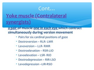 • Yoke muscle (Contralateral
synergists)
a pair of muscle one in each eye which contract
simultaneously during version mov...