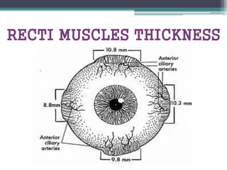 RECTI MUSCLES THICKNESS
 