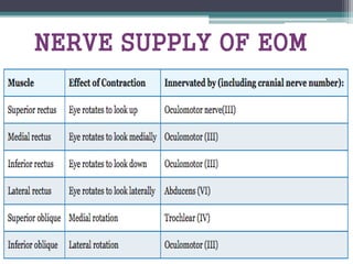 NERVE SUPPLY OF EOM
 