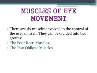 MUSCLES OF EYE
MOVEMENT
• There are six muscles involved in the control of
the eyeball itself. They can be divided into two
groups:
• The Four Recti Muscles,
• The Two Oblique Muscles.
 