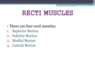 RECTI MUSCLES
• There are four recti muscles;
1. Superior Rectus
2. Inferior Rectus
3. Medial Rectus
4. Lateral Rectus
 