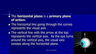  The horizontal plane is a primary plane
of action.
 The horizontal line going through the cornea
represents the visual axis .
 The vertical line with the arrow at the top
represents the vertical axis. As the eye turns
around the vertical axis, the visual axis
sweeps along the horizontal plane.
Optom. Ankit Varshney 10
 