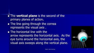  The vertical plane is the second of the
primary planes of action.
 The line going through the cornea
represents the visual axis .
 The horizontal line with the
arrow represents the horizontal axis. As the
eye turns around the horizontal axis, the
visual axis sweeps along the vertical plane.
Optom. Ankit Varshney 11
 